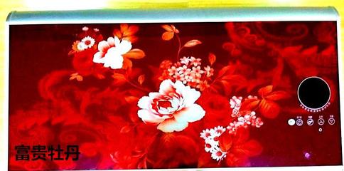 携手顺太乐，共赢绿色未来 诚征节能健康环保电热两用热水器代理经销商